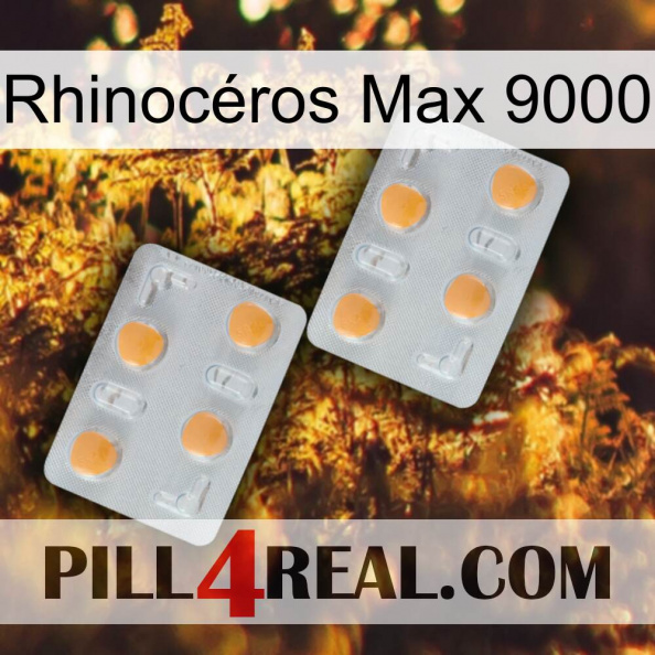 Rhinocéros Max 9000 25.jpg